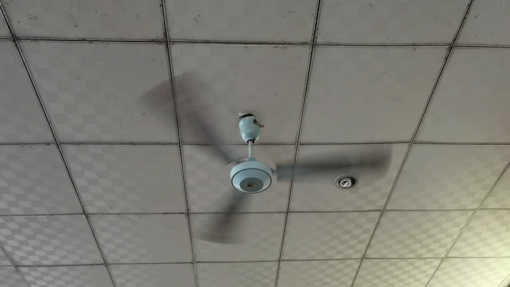 (较少见的泉城牌吊扇,转速贼快,仿佛让人回到80年代)位于斑鸠店供销社