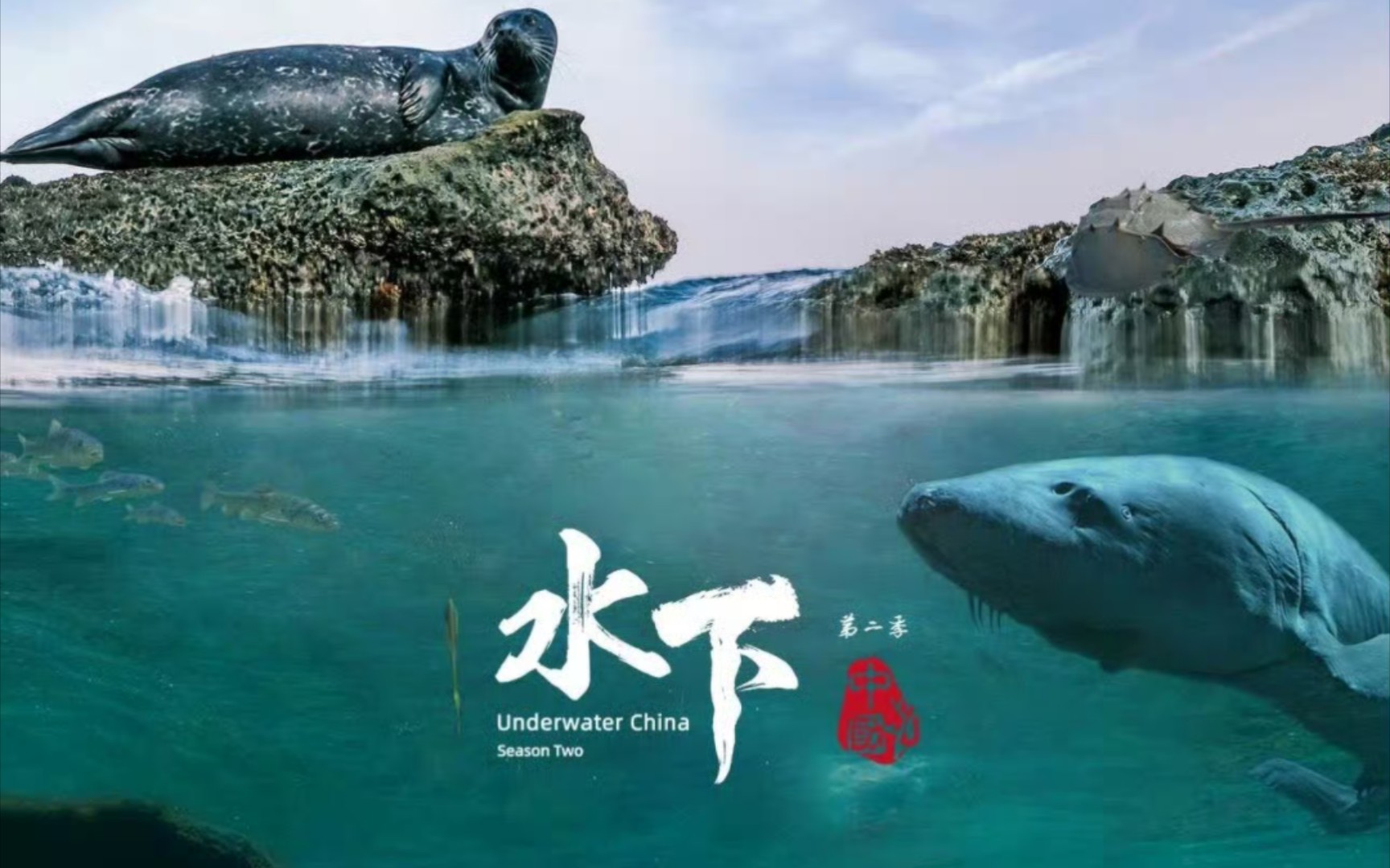 纪录片『水下中国第二季』