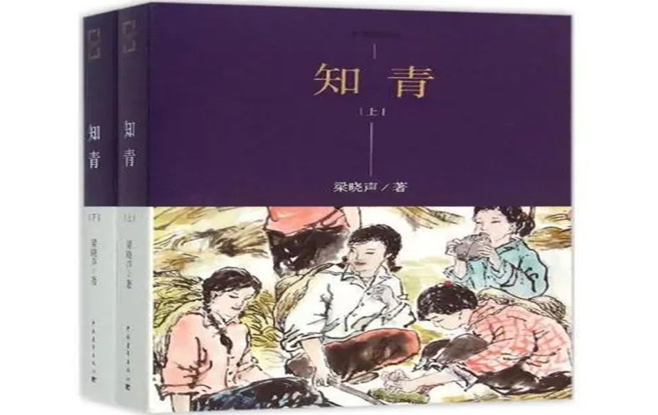 [图]有声书小说《知青》梁晓声作品-26-50