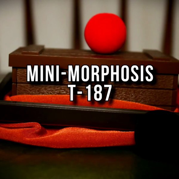 绝版天洋魔术T-187 迷你红黑交换Mini-Morphosis_哔哩哔哩_bilibili