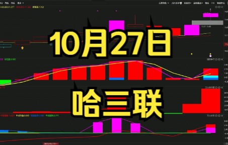 10.27哈三联:为何能够强势拉升?看完信号就知道了!哔哩哔哩bilibili