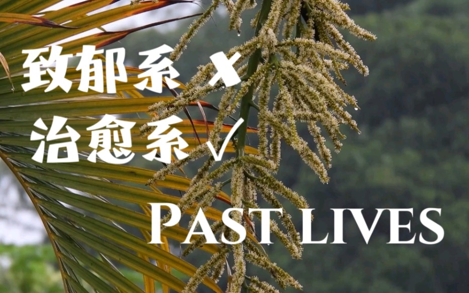 [图]【雨天纯享】Past lives/promise/鸡你实在太美英文版 无限放松