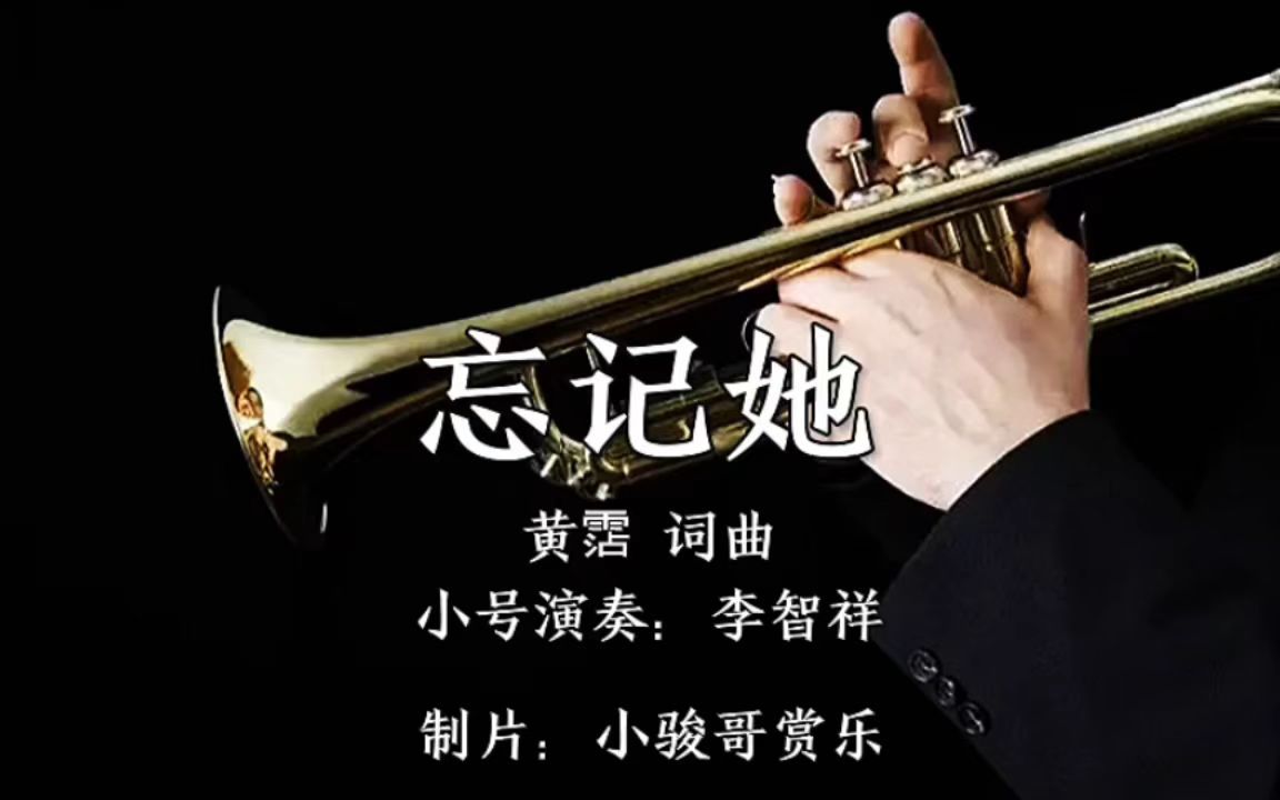 邓丽君金曲,小号演奏家李智祥演奏,如泣如诉的《忘记她》