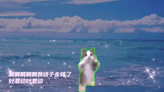 Video herunterladen: 【猫meme】当我发现自己永转了be like：