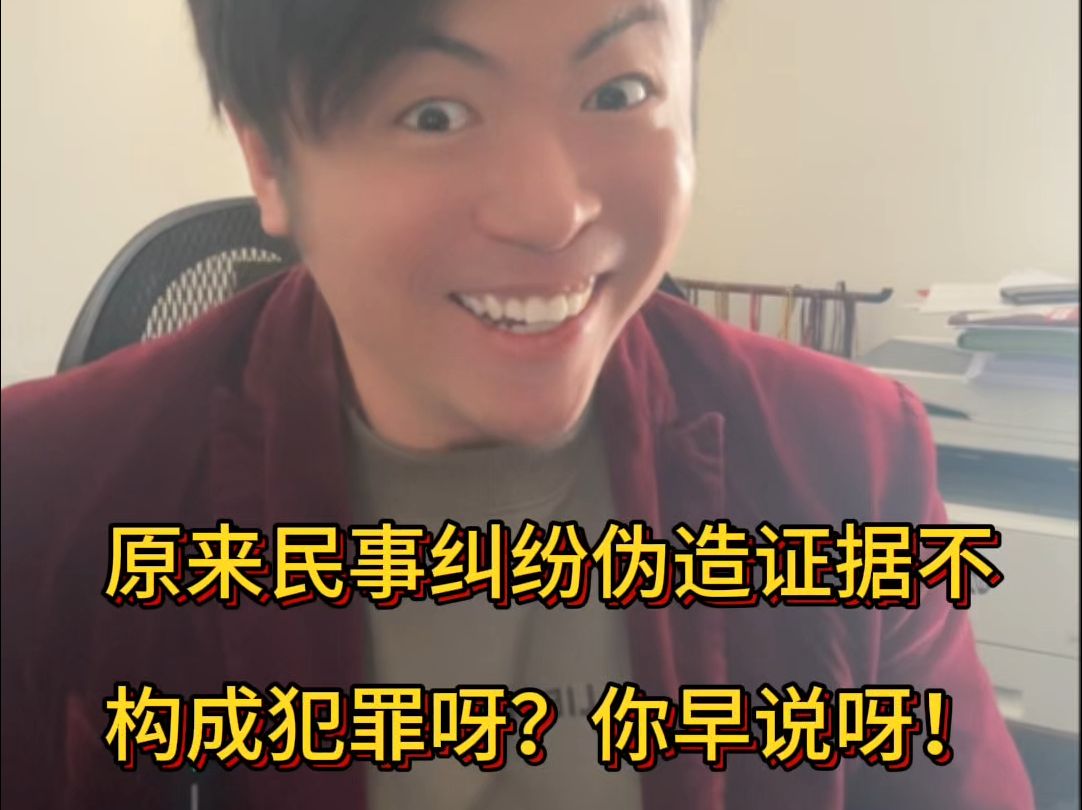 原来民事纠纷伪造证据不构成犯罪呀?你早说呀!哔哩哔哩bilibili