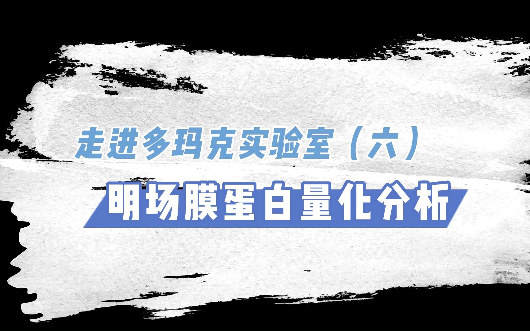 走进多玛克实验室(六)明场膜蛋白量化分析哔哩哔哩bilibili