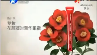 2014.11.29河南卫视广告