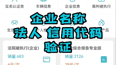 企业名称,法人,信用代码验证哔哩哔哩bilibili