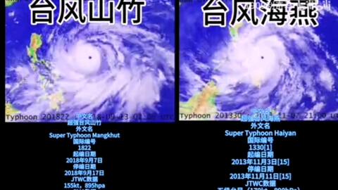 14台风鹦鹉回顾 哔哩哔哩 Bilibili