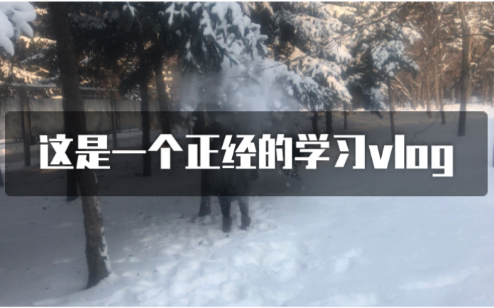 研究生的沙雕日常丨法学论文开题丨和汉堡室友的玩雪记录哔哩哔哩bilibili