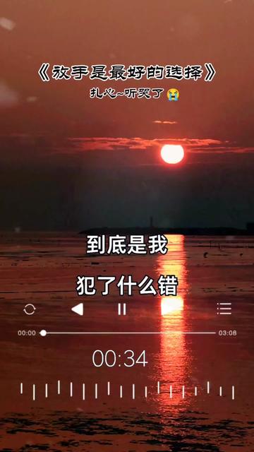 [图]#歌曲放手是最好的选择