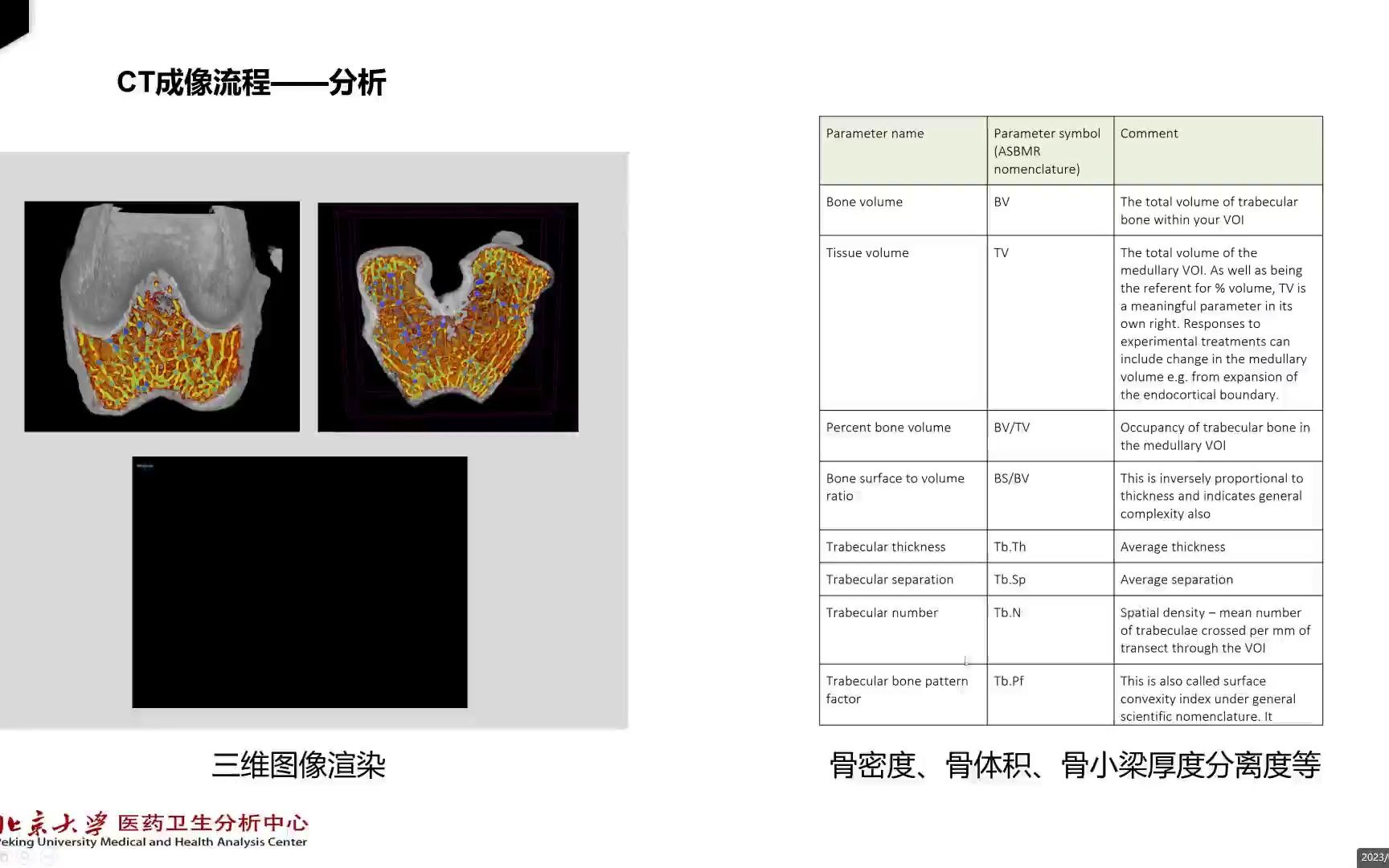 显微CT骨分析哔哩哔哩bilibili