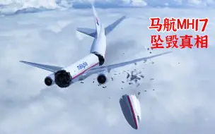 Télécharger la video: 马航MH17坠毁真相，害死298人的幕后黑手究竟是谁？《空中浩劫》