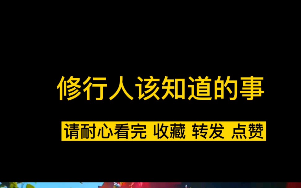 修行人该知道的事#修行#感悟#道教#佛教#人生智慧#人生哔哩哔哩bilibili