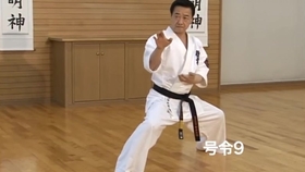 掌底の顔面攻防 大石代悟最高師範 哔哩哔哩 つロ干杯 Bilibili