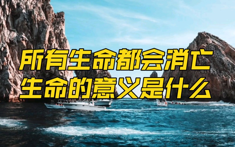 既然所有的生命都会消亡,那么生命的意义是什么?