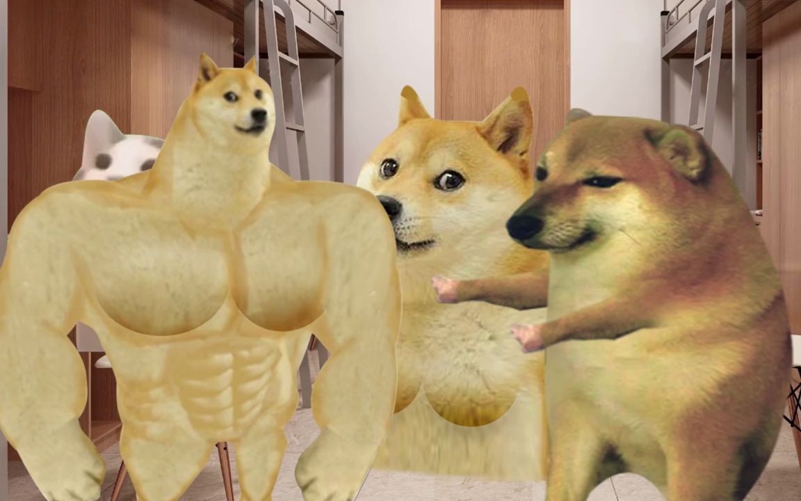 [furry小剧场]cheems谁看见我木瓜了_哔哩哔哩_bilibili