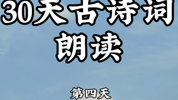 第四天,白居易《登高》纵有狂风拔地起.哔哩哔哩bilibili