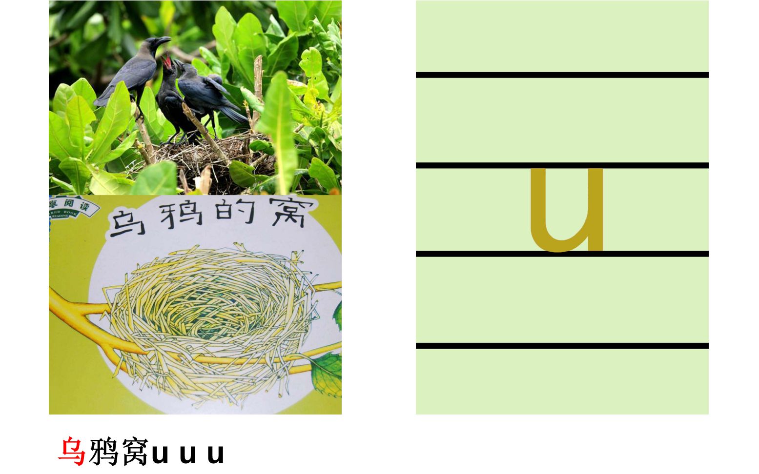 輕鬆學漢字:如何高效學拼音08 u象形記憶法