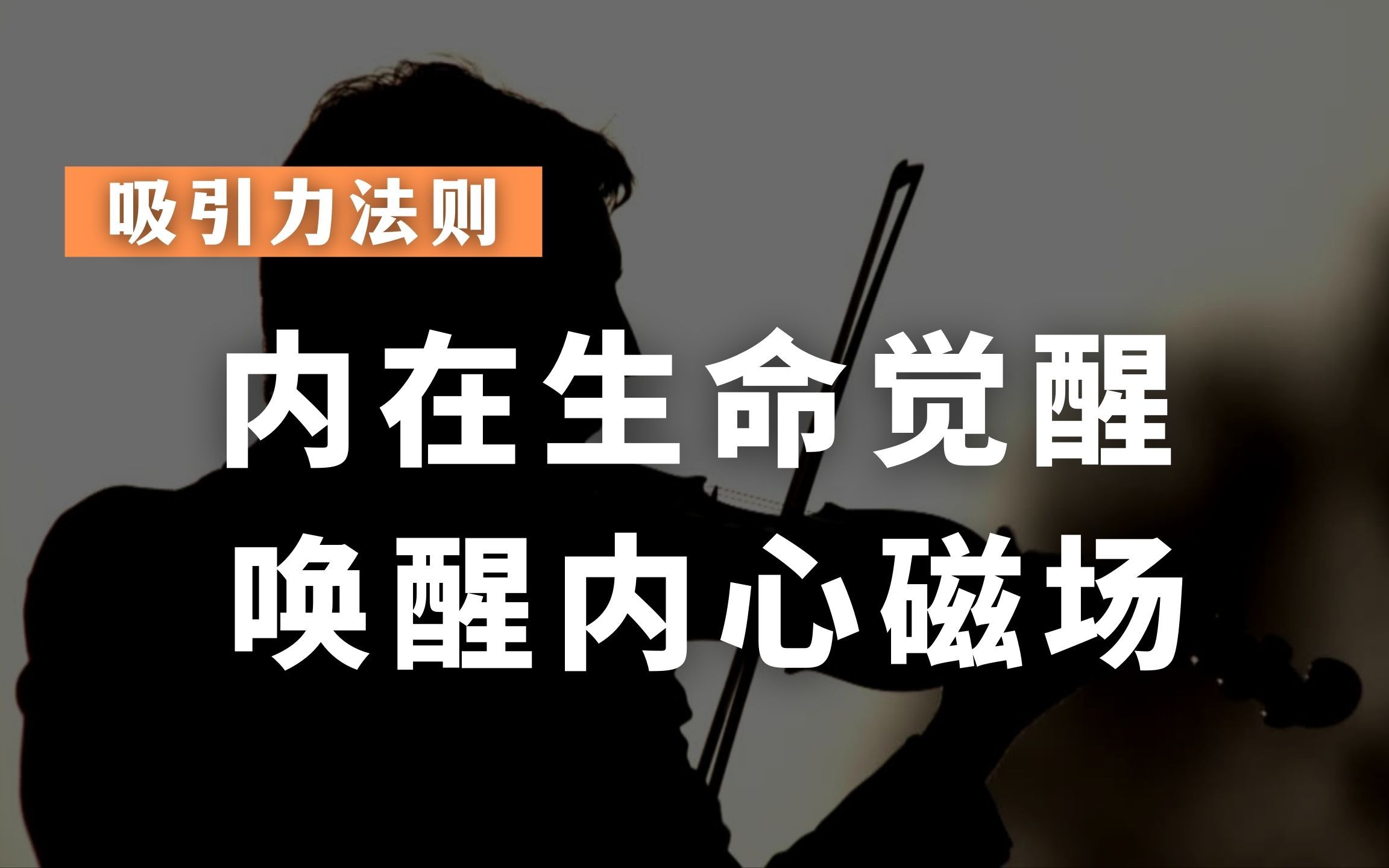 吸引力法则冥想内在生命觉醒唤醒内心磁场显化梦想吸引美好生活唤醒