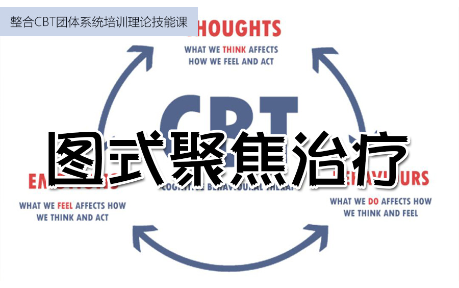 11图式聚焦治疗【整合CBT团体系统培训理论技能课】哔哩哔哩bilibili