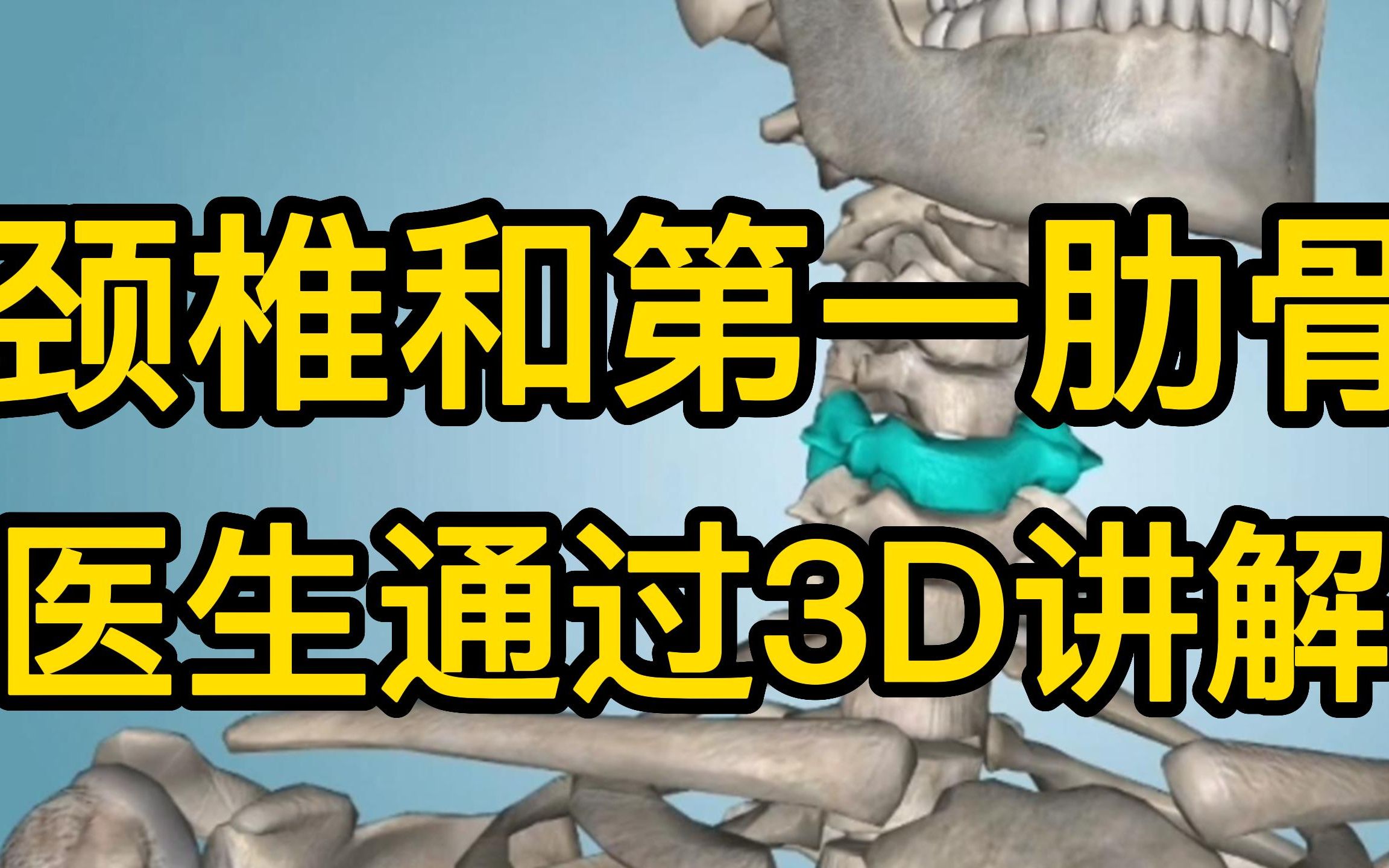 颈椎病影响健康,颈椎长啥样?医生通过3D解剖讲解哔哩哔哩bilibili