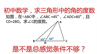 初中数学 求三角形中的角的度数 是不是总感觉条件不够 哔哩哔哩 つロ干杯 Bilibili