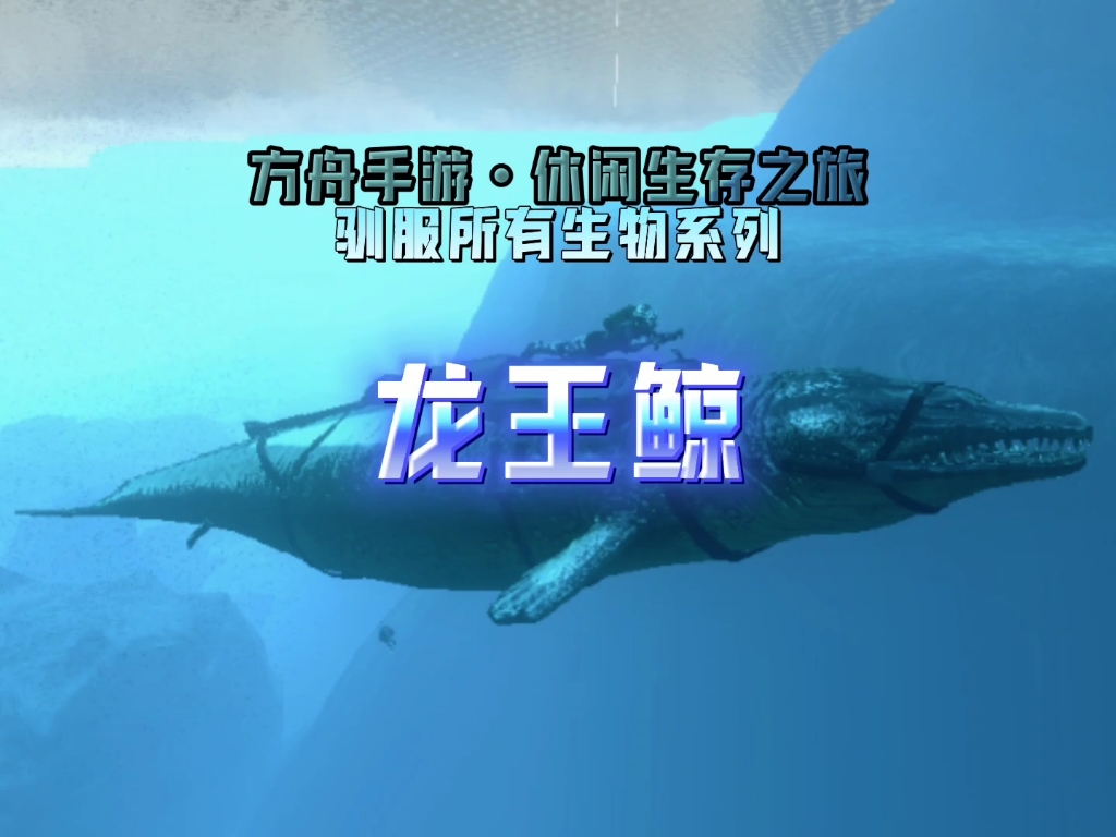 方舟手游丨休闲生存之旅丨驯服所有生物系列丨龙王鲸
