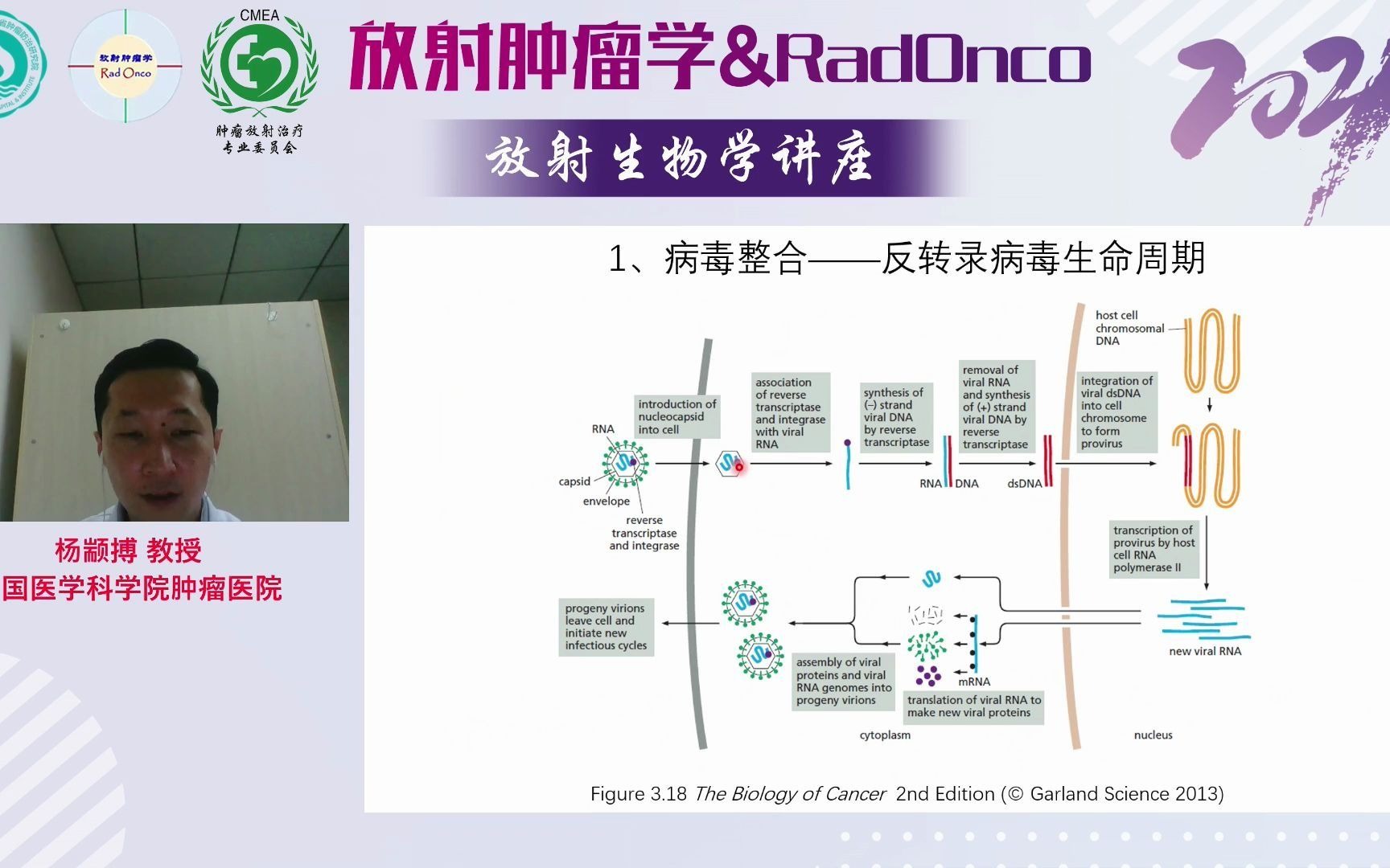 放射生物学 第15课肿瘤生物学哔哩哔哩bilibili