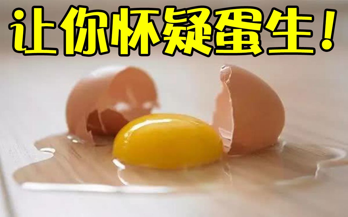 【跳蛋闯关】令人蛋疼无比的游戏!!|LOST EGG 迷失的蛋哔哩哔哩bilibili