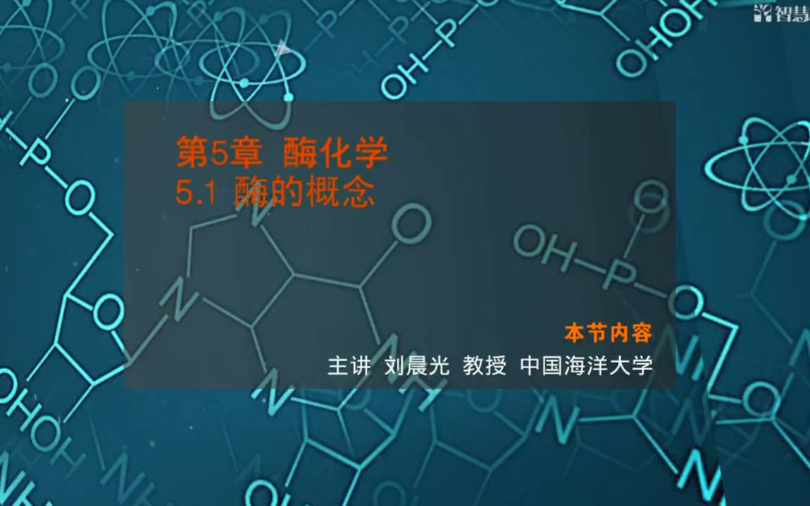 【中国海洋大学 生物化学】2.1酶的概念哔哩哔哩bilibili