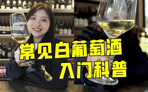 Descargar video: 新手入门✅四大常见白葡萄酒，都是什么味？