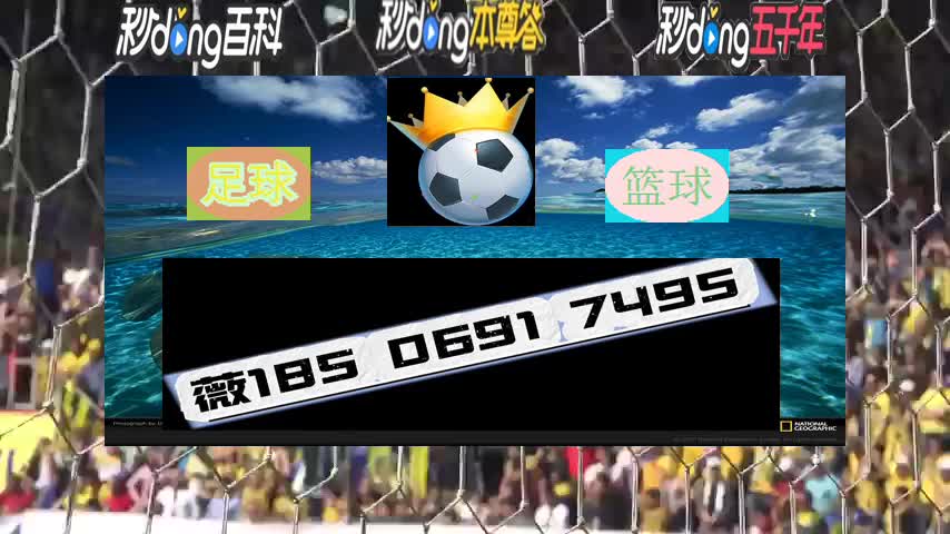 今日访谈:皇冠信用网开发