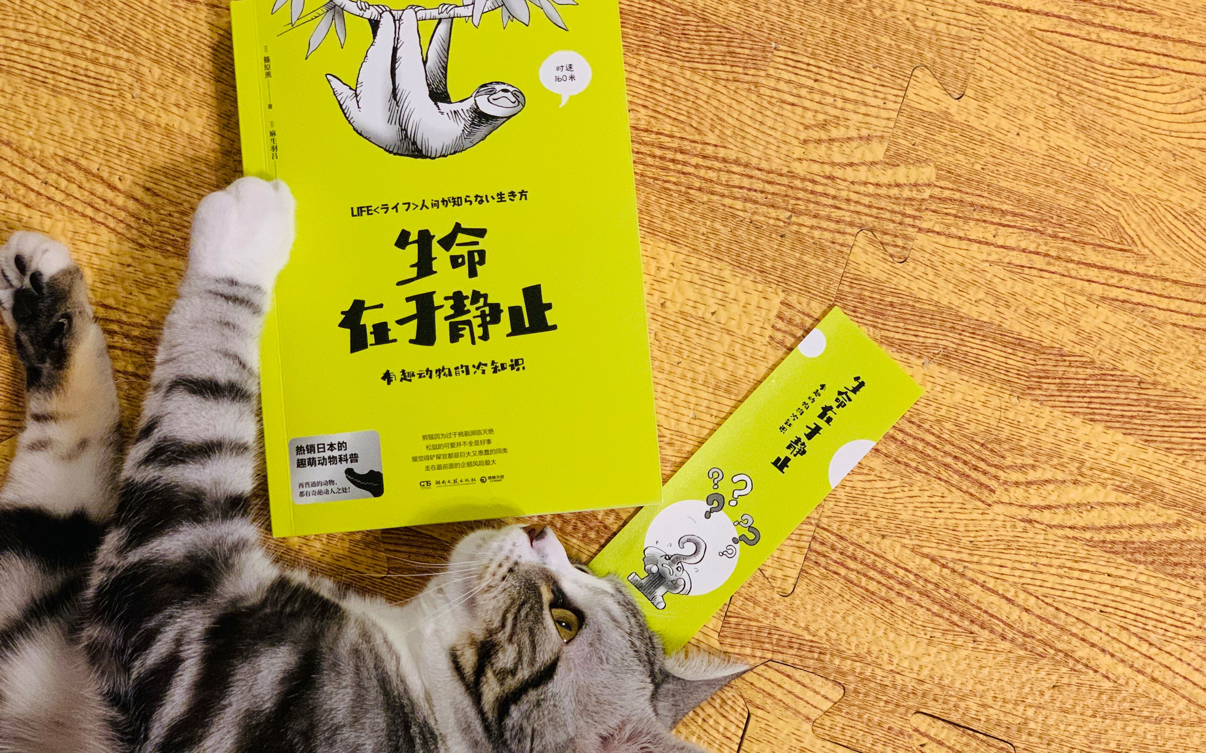 小盗龙荐书生命在于静止