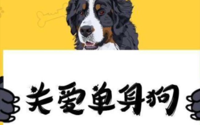 马上就是520了,你脱单了吗?