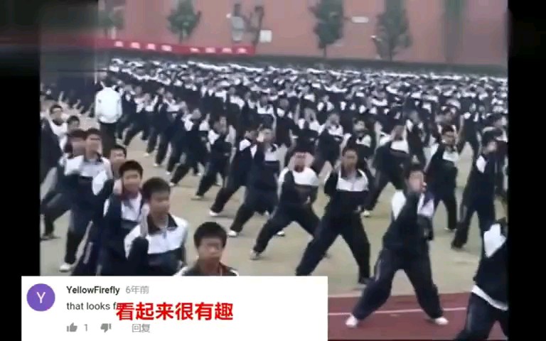 [图]【中国功夫】为什么外国人说中国学生会功夫，看到这视频的话，似乎明白了。