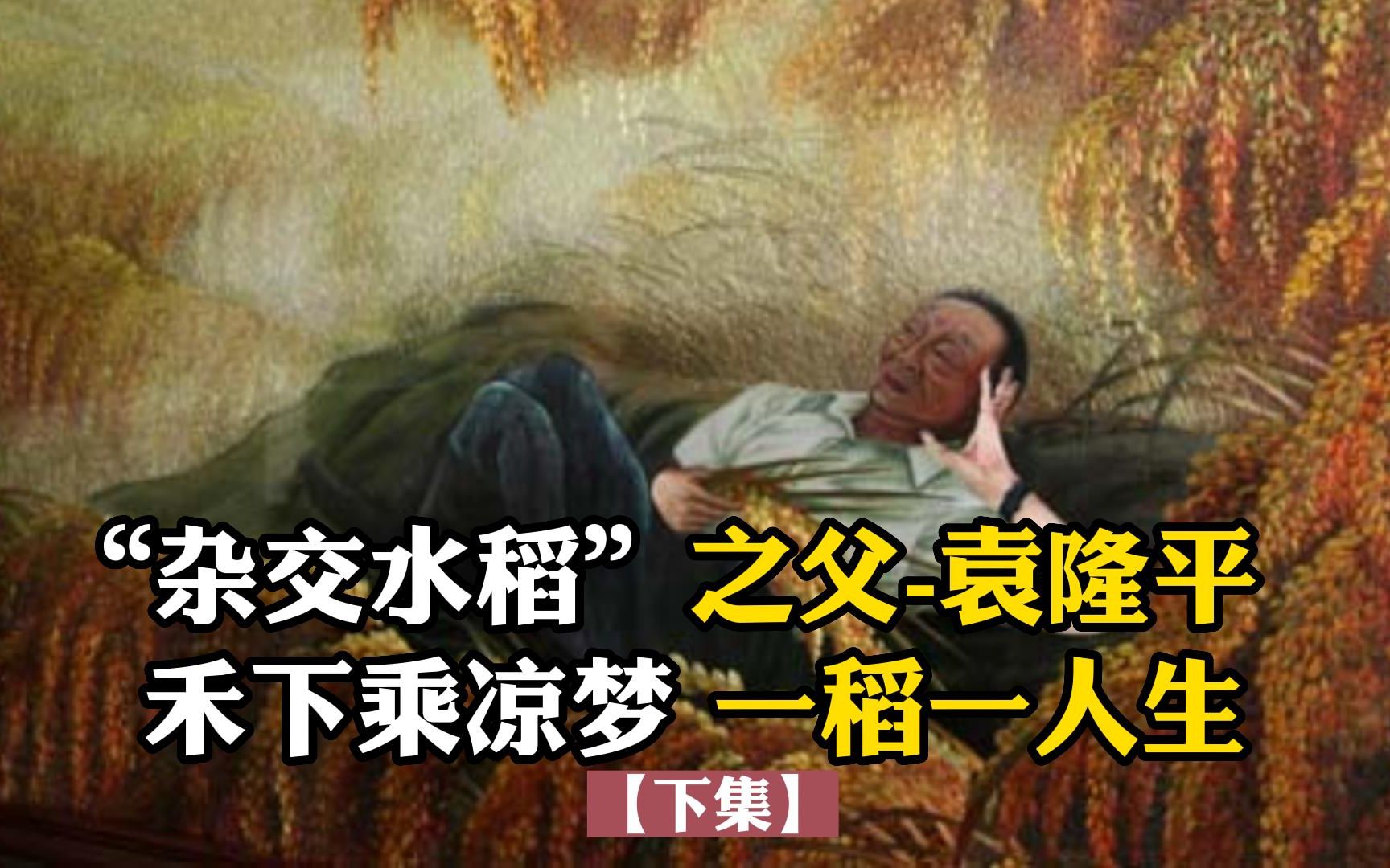 “杂交水稻”之父袁隆平,禾下乘凉梦,一稻一人生【下集】哔哩哔哩bilibili