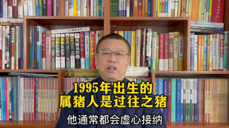 十二生肖运势详解:1995年出生的属猪人是什么样的人?哔哩哔哩bilibili