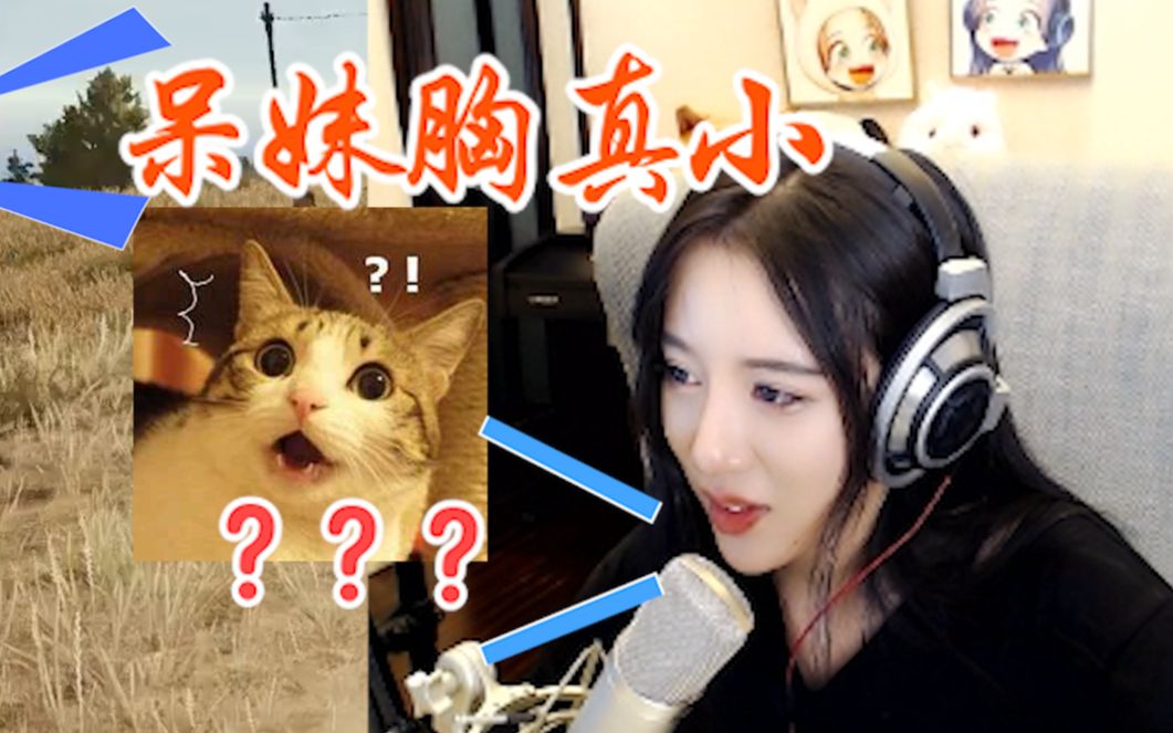 队友:呆妹胸真小.呆妹儿:我换了id,这能认出来?