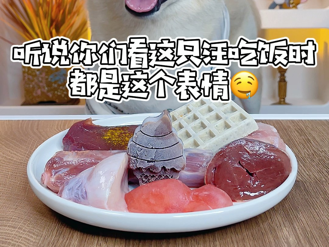 听说你们看这只汪吃饭时都是这个表情的…哔哩哔哩bilibili