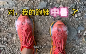 Video herunterladen: 今天跑小恐龙可太热了，一边跑一边往身上浇水，然后鞋子就中暑了……