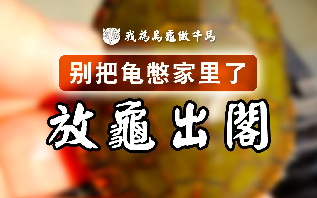 好好的养龟缸被我装修成了空中监狱!哔哩哔哩bilibili