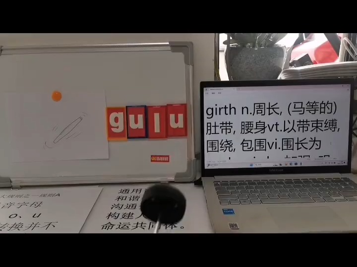 00080girth哔哩哔哩bilibili