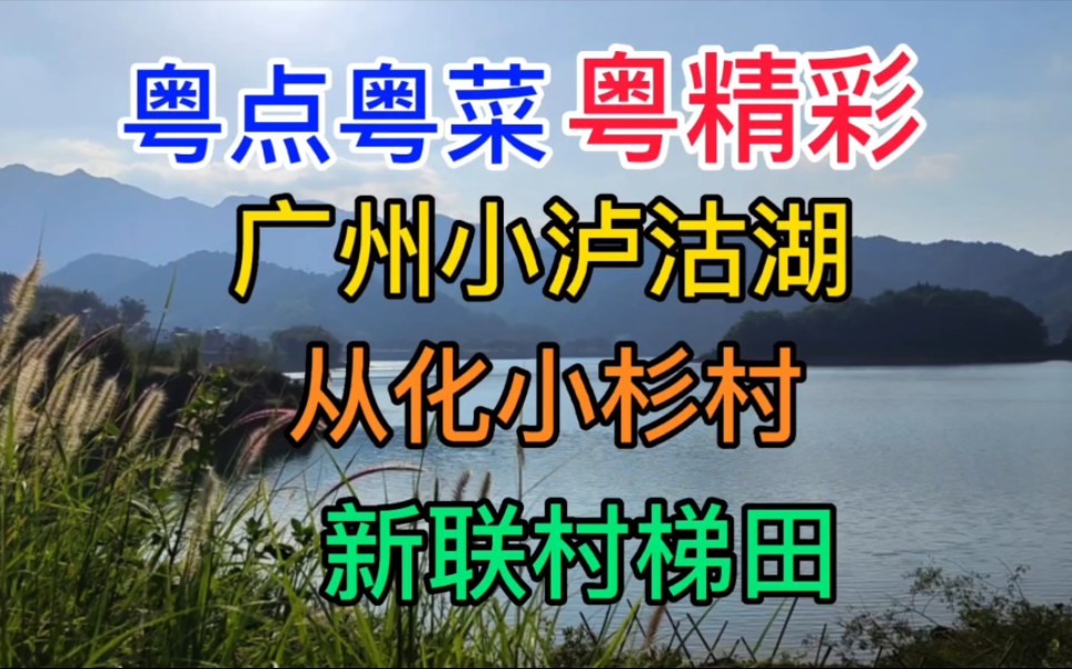 粤点粤菜粤精彩,广州小泸沽湖,从化小杉村,新联村梯田,粤语中字幕哔哩哔哩bilibili