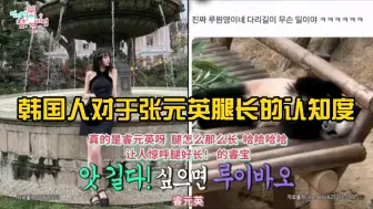 下载视频: 韩国人把腿长的大熊猫睿宝称为“睿元英”，别太爱了