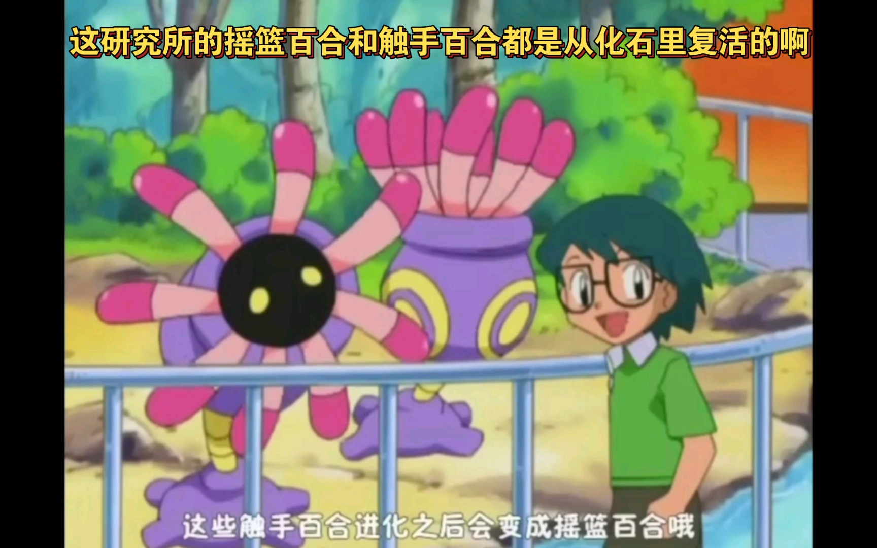 精灵宝可梦 这研究所的摇篮百合和触手百合都是从化石里复活的啊