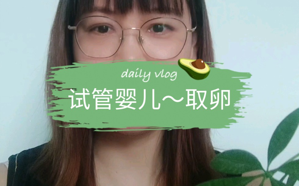 试管婴儿~取卵哔哩哔哩bilibili