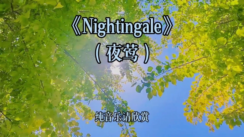 [图]震撼心灵的世界顶级纯音《Nightingale夜莺》一首循环播放的灵魂之笛