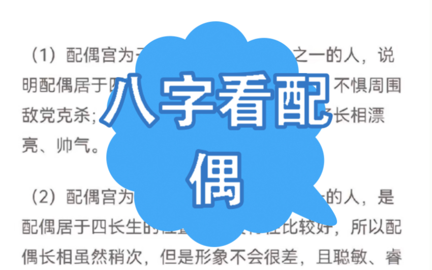 八字如何看配偶?哔哩哔哩bilibili