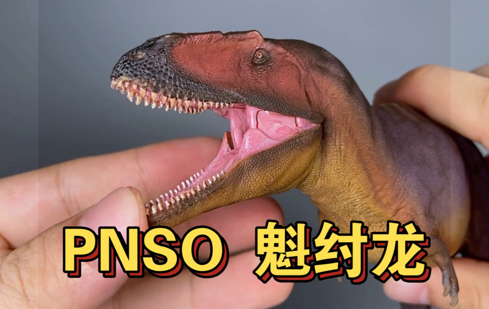 「呆头鹅模玩」pnso恐龙大王魁纣龙恐龙模型